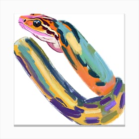 Corn Snake 07 Canvas Print