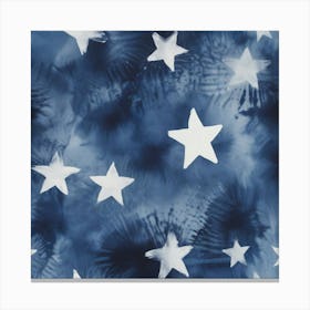 Starry Sky Canvas Print