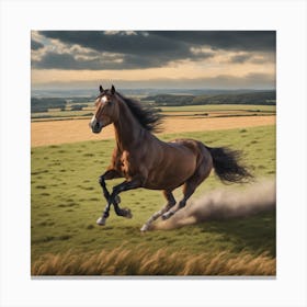 Horse Galloping In A Field Canvas Print