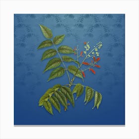 Vintage Tree of Heaven Botanical on Bahama Blue Pattern n.1224 Canvas Print