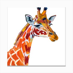 Giraffe 12 1 Canvas Print