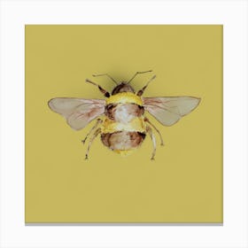 Yellow Bumble Bee Canvas Print