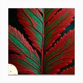 Redwood leaf Canvas Print