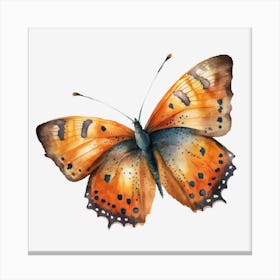 Orange Butterfly Canvas Print