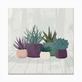 Succulents In Pots 6 Canvas Print