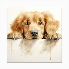 Golden Retriever 8 Canvas Print