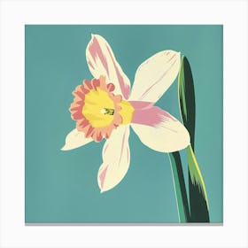 Daffodil 2 Square Flower Illustration Canvas Print