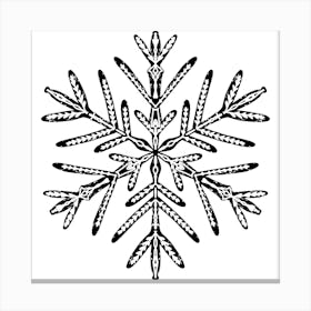 Snowflake 32 Canvas Print