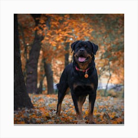 Rottweiler In Autumn Leaves Canvas Print