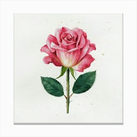 Pink Rose Watercolor Painting Canvas Print
