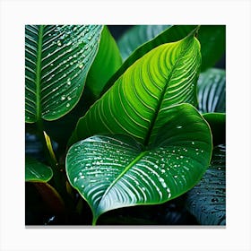 Tropical Leaves Macro Photography Close Up Hyper Detailed Trending On Artstation Shar (1) Canvas Print