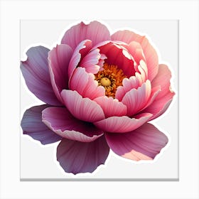 Peony Flower 1 Canvas Print