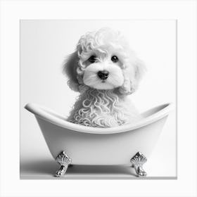 Poodle In Bathtub Canvas Print