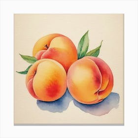 Peach Watercolor Painting Canvas Print
