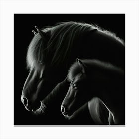 Black Horse And Foal 1 Canvas Print