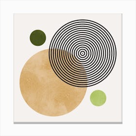 Circles and lines 5 Canvas Print