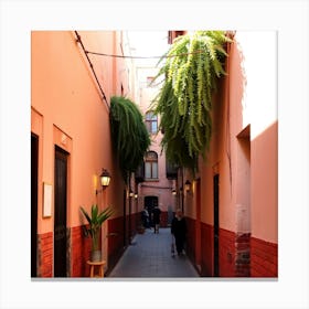 Narrow Alley Canvas Print