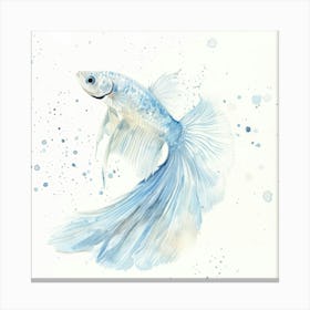 Siamese Catfish Canvas Print