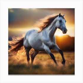 Horse Galloping At Sunset 1 Canvas Print