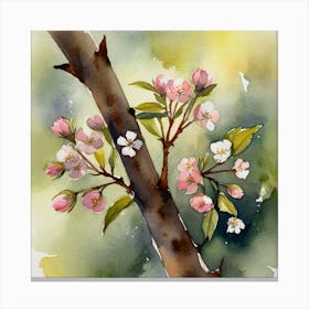 Watercolor Of Apple Blossoms Canvas Print