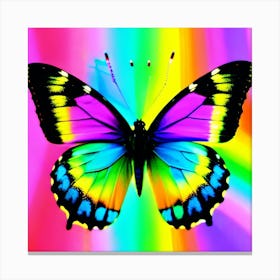 Rainbow Butterfly 14 Canvas Print