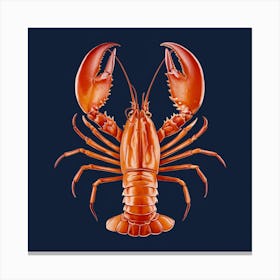 Lobster (3) Canvas Print