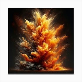 Explosion Of Orange And Black Smoke Canvas Print