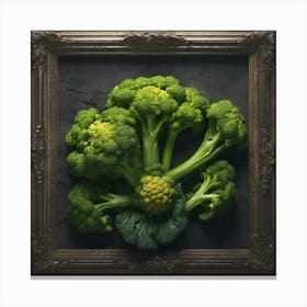 Brocolli 4 Canvas Print