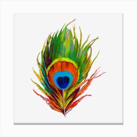 Green Peacock Feather Nature Canvas Print