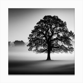 Tree In The Mist Canvas Print
