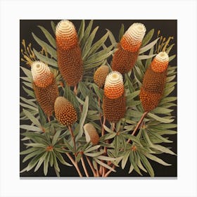 Banksia 6 Canvas Print