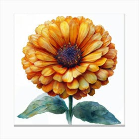 Zinnia 1 Toile