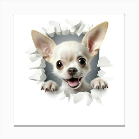 Chihuahua 3 Canvas Print