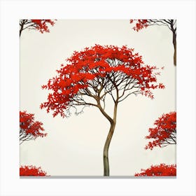 Erythrina tree Canvas Print