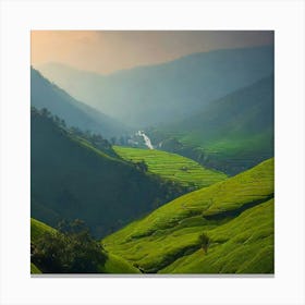 Sunrise Over Tea Fields In Sri Lanka Canvas Print