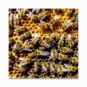 Bees On Honeycomb 1 Canvas Print