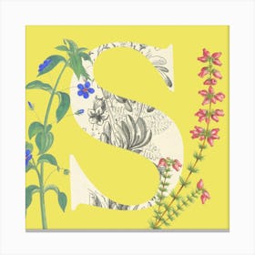 Botanical S Canvas Print