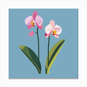 Pink Orchids 1 Canvas Print