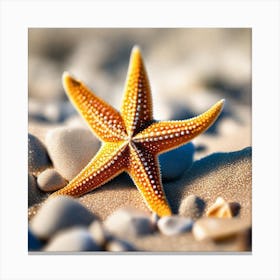 Starfish On The Beach 9 Canvas Print