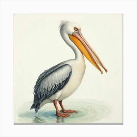 Pelican Bird Leinwandbild