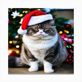 A Grumpy Fat Cat In A Christmas Hat (1) Canvas Print