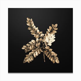 Gold Botanical Clammy Locust on Wrought Iron Black n.2733 Canvas Print