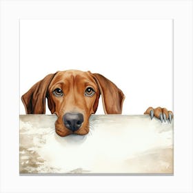 Dachshund Dog 7 Canvas Print