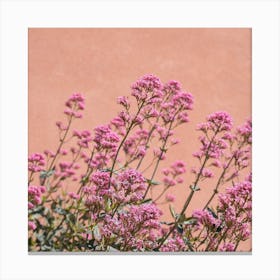 Provence Flowers Square Canvas Print
