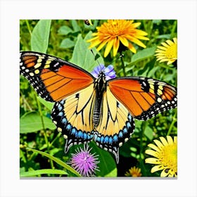 Butterflies Insect Lepidoptera Wings Antenna Colorful Flutter Nectar Pollen Metamorphosis (7) Canvas Print