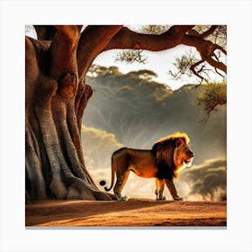 Lion Under A Tree 8 Canvas Print