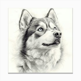 Siberian Husky Canvas Print