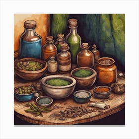 Traditional Indian Medicine 1 Canvas Print