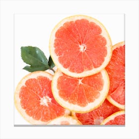 Grapefruit Slices Isolated On White 1 Canvas Print