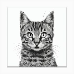 Striking Gaze Black And White Cat Illustration (2) Canvas Print